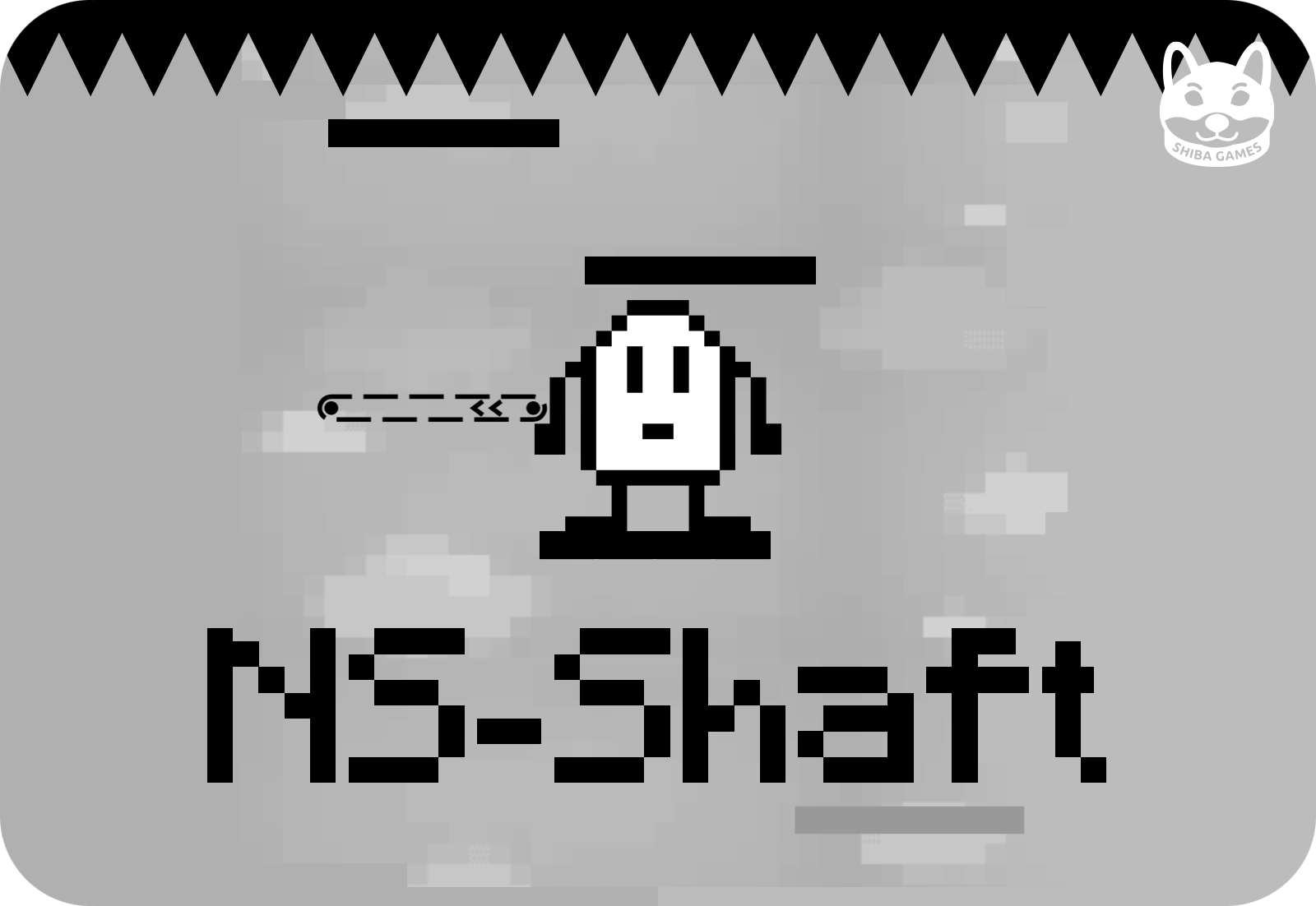 NS-Shaft